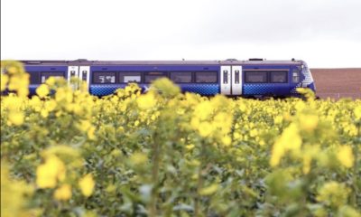 starlink-trains-scotrail-debut