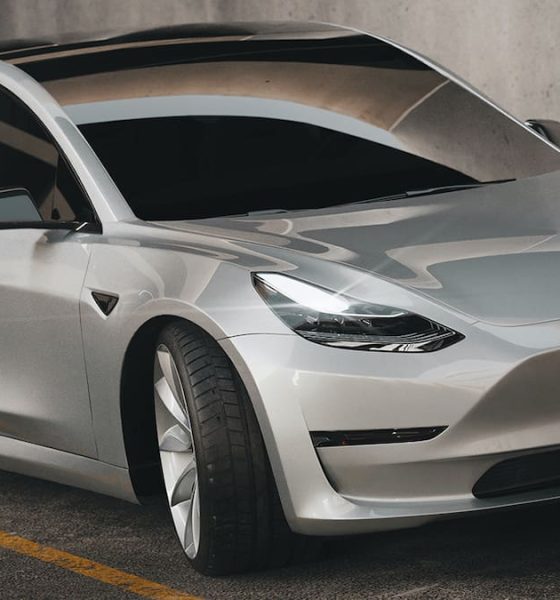 tesla-model-2-production-launch