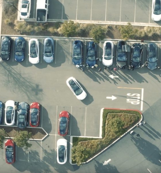 Tesla Owners Silicon Valley Smart Summon Model 3s (Credit: @MinimalDuck)